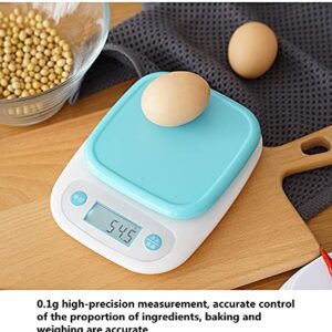 Electronic Food Scale