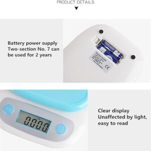 Electronic Food Scale