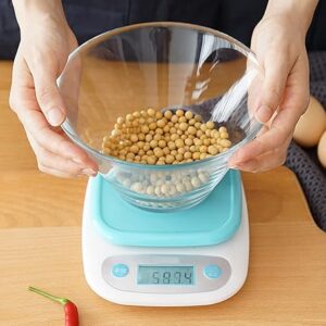 Electronic Food Scale