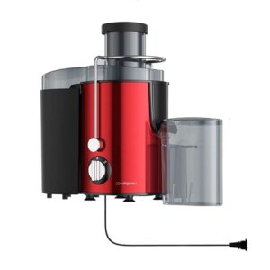 Stainless Steel Portable Fruit Juicers