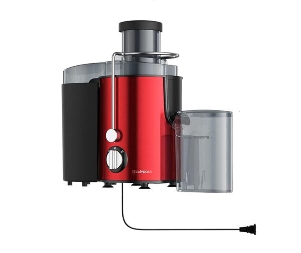 Stainless Steel Portable Fruit Juicers