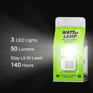 Salt and Water LED Lamp