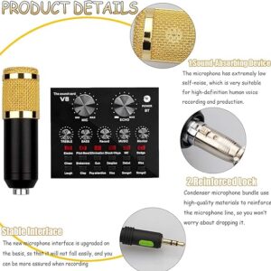 Condenser Microphone Kit