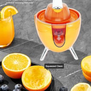 Electric Citrus Juicer