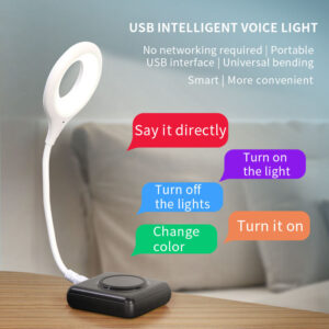 Smart Voice Control USB Light