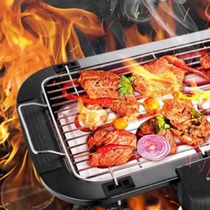 Electric BBQ Grill