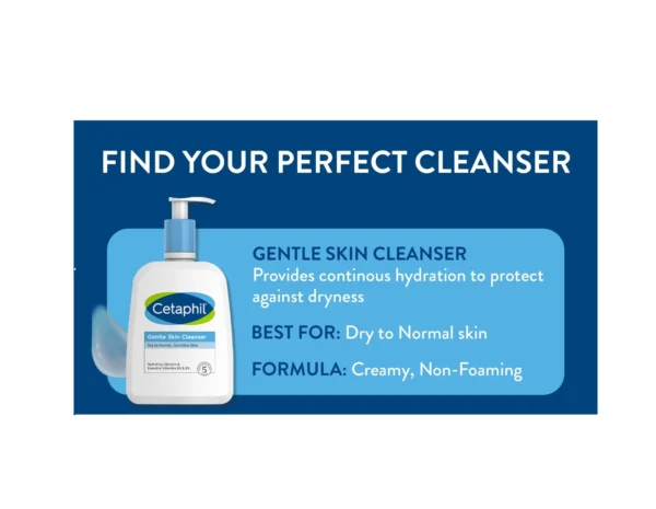 Gentle Skin Cleanser (500ml) (Original)